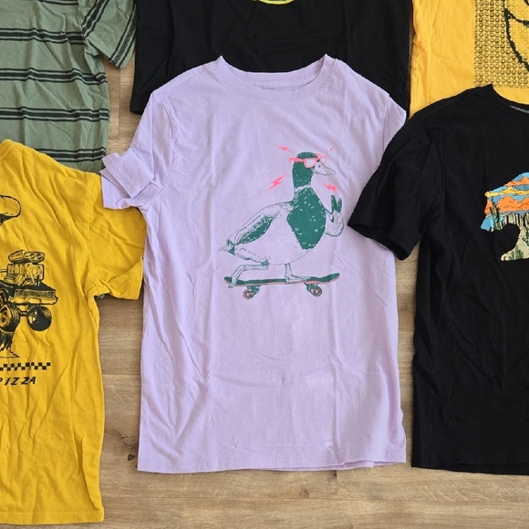 Boy's Graphic T-Shirt Bundle (21 Shirts) - Picture 5 of 16